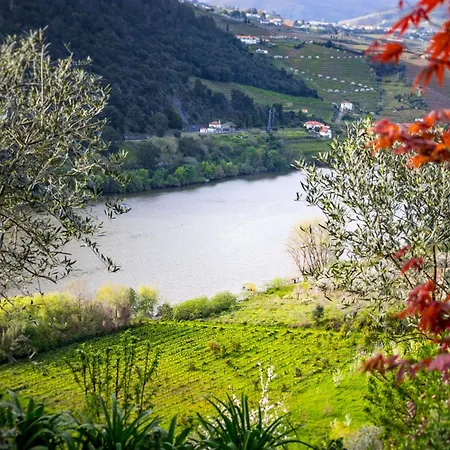 Fraga Douro House, Douro Valley Holiday home Resende