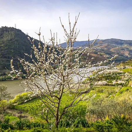 Fraga Douro House, Douro Valley *