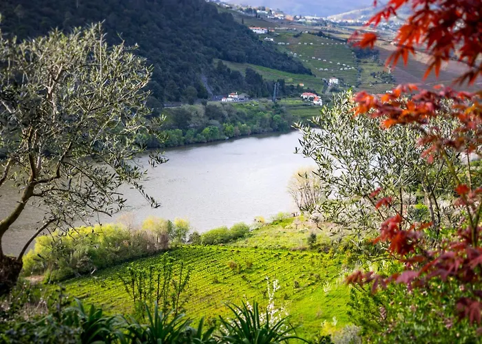 Fraga Douro House, Douro Valley Prázdninový dům Resende