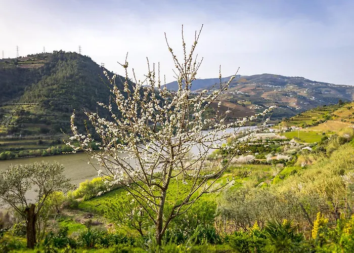 Fraga Douro House, Douro Valley *